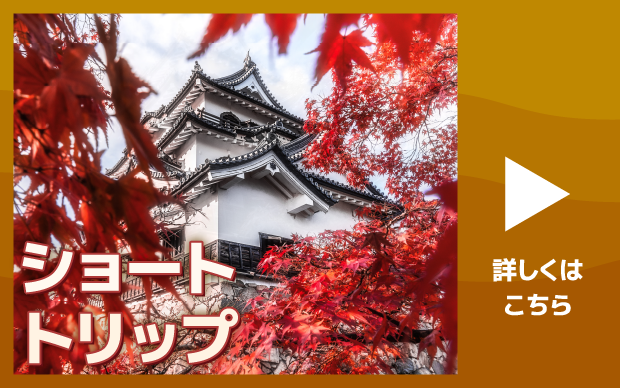 ショートトリップ