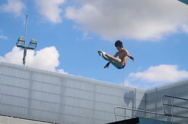 水泳(飛込)の様子